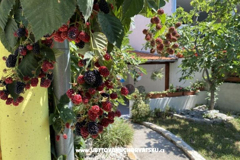 Beach Dom Punta – foto 7