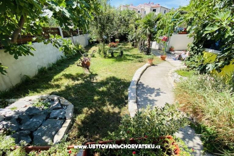 Beach Dom Punta – foto 9