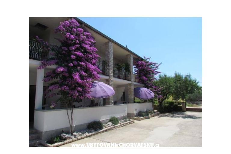 Apartamenty Pipi – foto 3