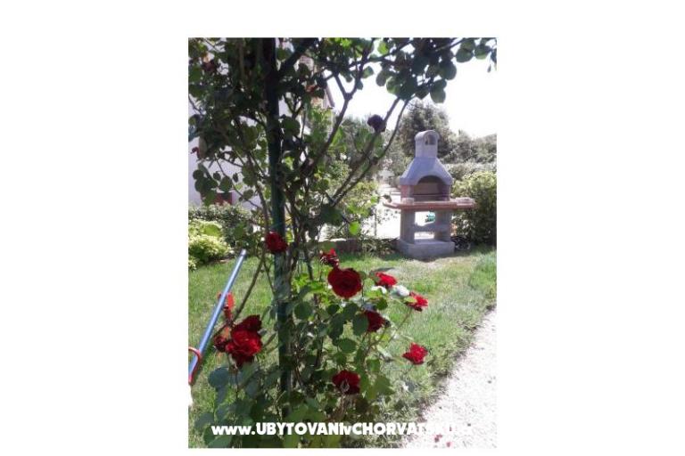 Apartamenty Pipi – foto 9