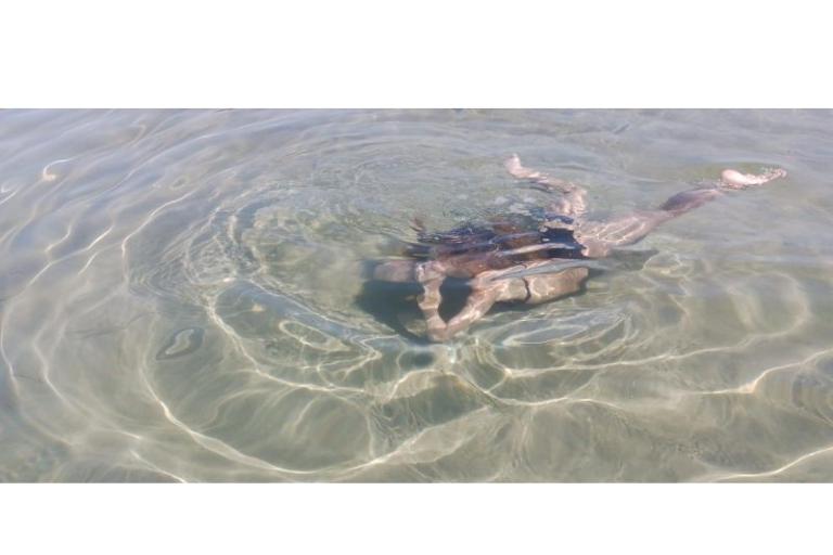 Tourist boat - Robinson Tourism – foto 14