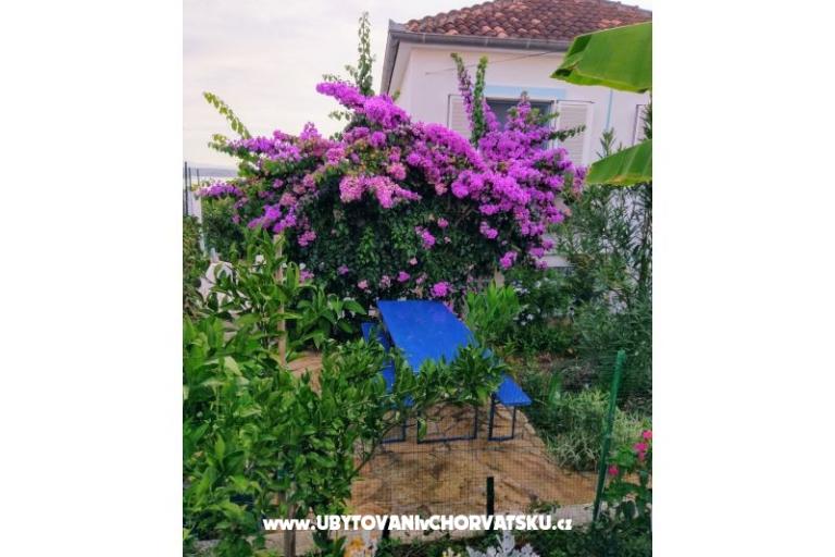 Apartamenty Marija-Tkon – foto 10