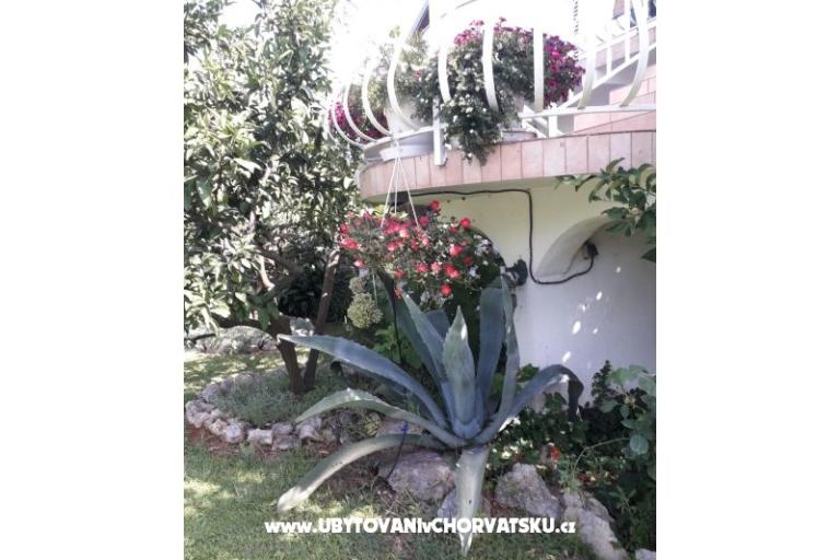 Apartamenty Lokva – foto 4