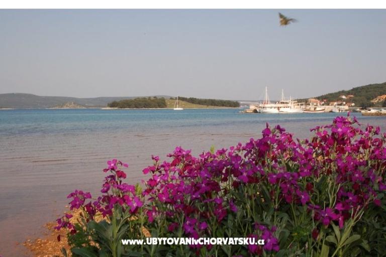 Apartamenty Marinero – foto 9