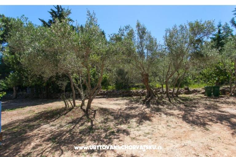 Apartamenty Maris – foto 12