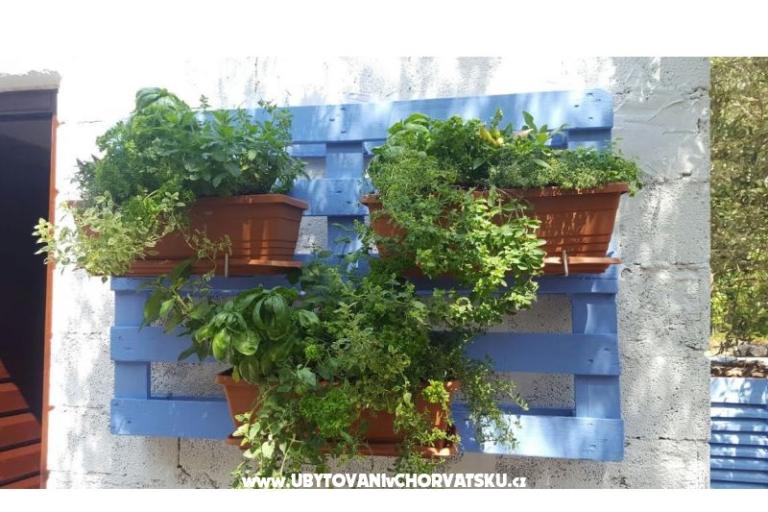 Apartamenty Maris – foto 16