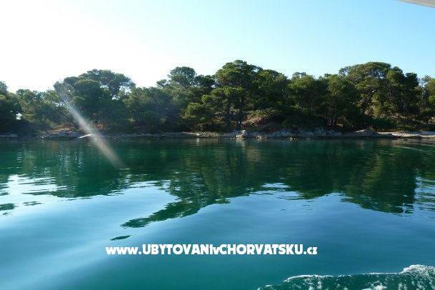 Apartamenty na moru – foto 7