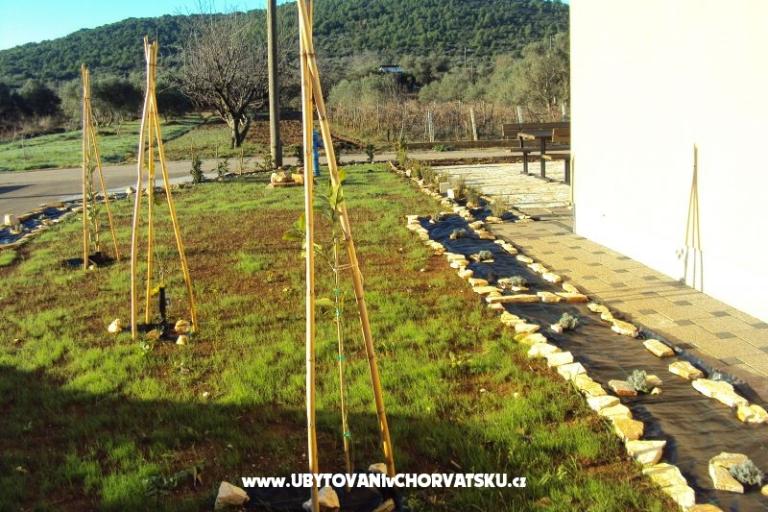 Apartamenty Pašman – foto 16