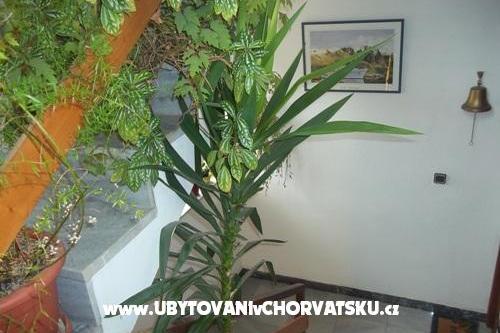 Apartamenty Dragica Pedisic – foto 9