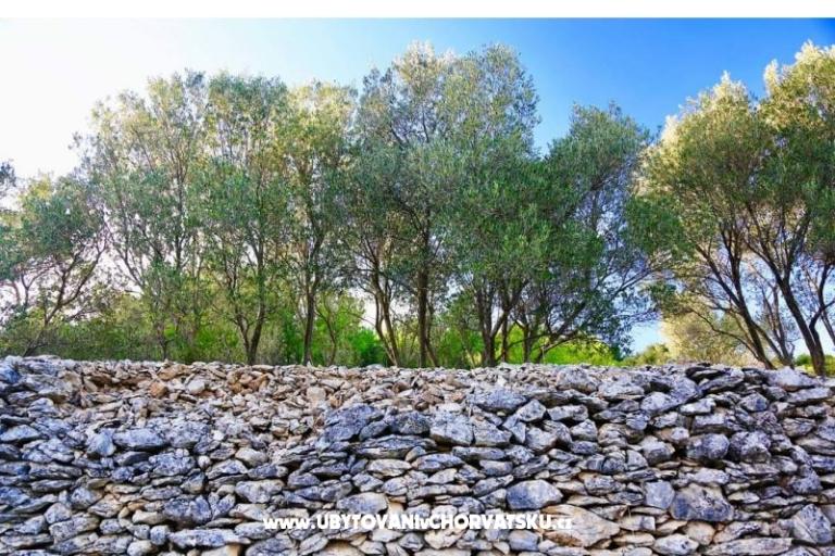 Apartamenty Dragica Pedisic – foto 11