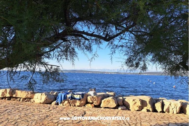 Apartamenty Villa Banjka – foto 10