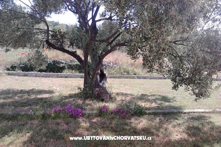 Apartamenty Villa Banjka – foto 17