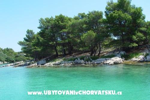 Apartamenty Pasman – foto 6