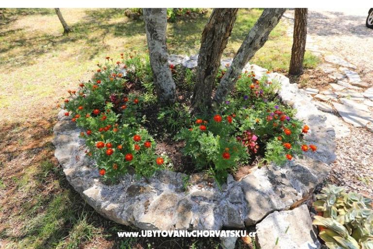 Apartamenty Suzana – foto 18
