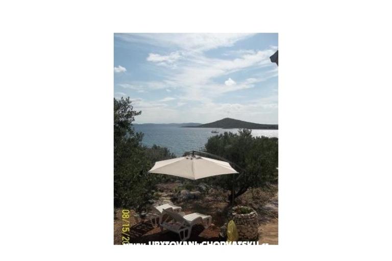 Robinson Rudika – foto 3