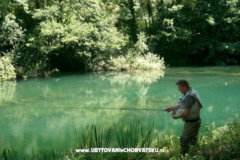 Apartamenty Lucić – foto 15