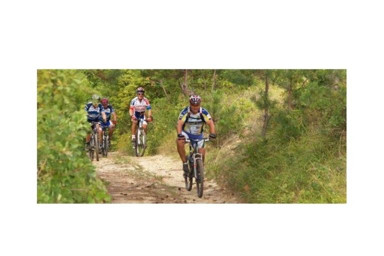 Apartamenty Lucić – foto 16