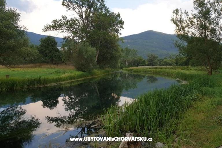 Apartamenty Paradiso – foto 10