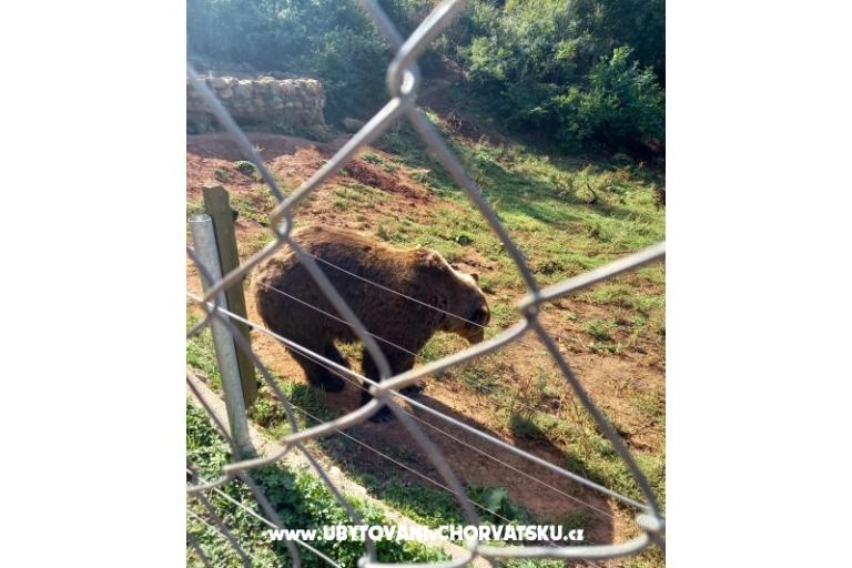 Apartamenty Paradiso – foto 11