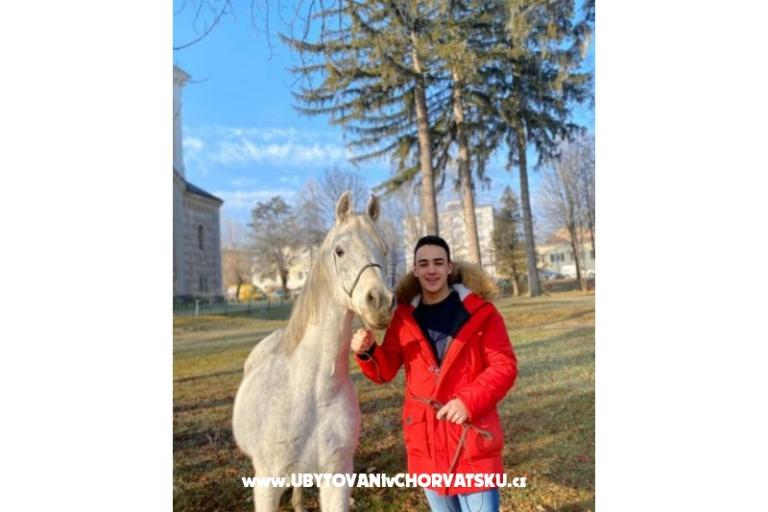 Apartamenty Paradiso – foto 14