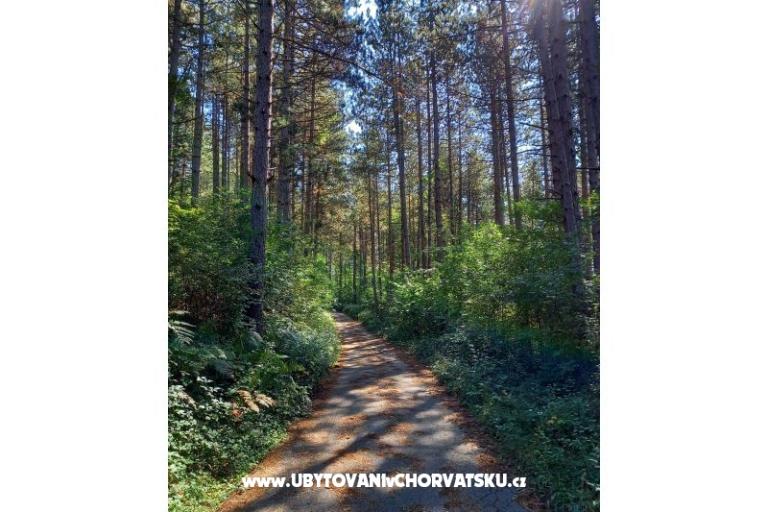 Apartamenty Paradiso – foto 15