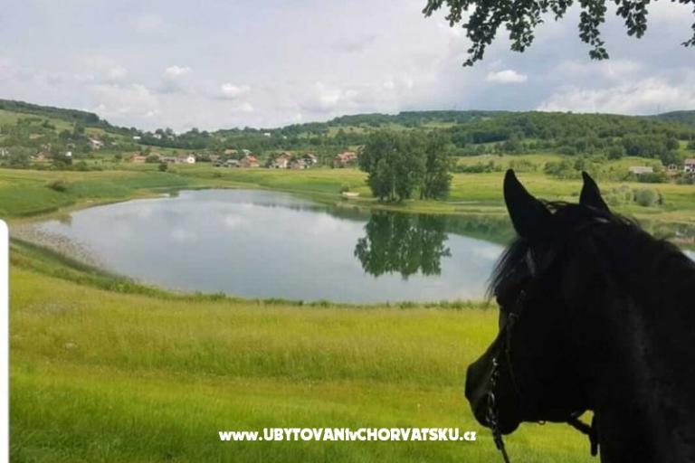 Apartamenty Paradiso – foto 7