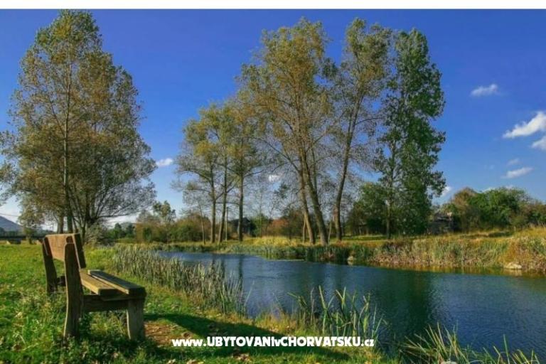 Apartamenty Paradiso – foto 8