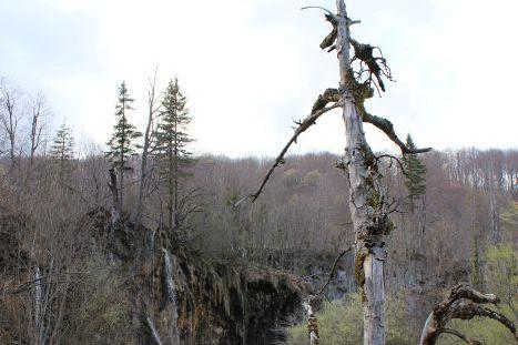 Apartamenty Marija – foto 6