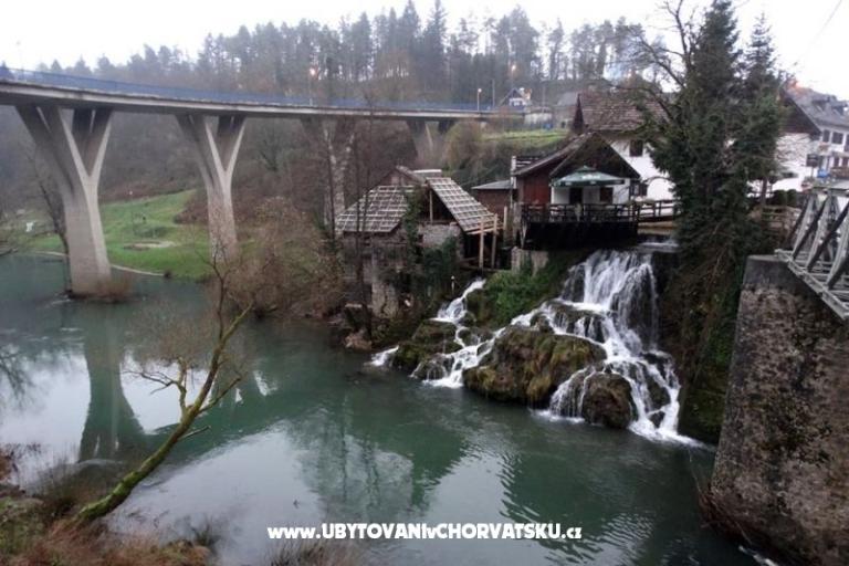 Pokoje Roza – foto 13