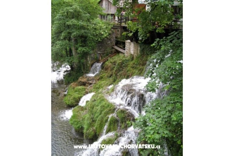 Pokoje Roza – foto 16