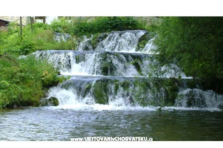 Pokoje Roza – foto 17