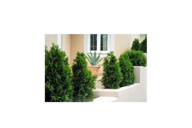 Villa Mozart – foto 18