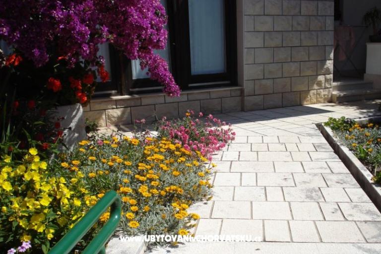 Apartamenty - Minka i Vite – foto 3