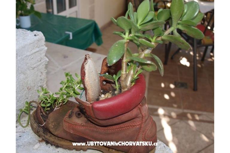 Apartamenty Lendić - Makarska riviera – foto 2