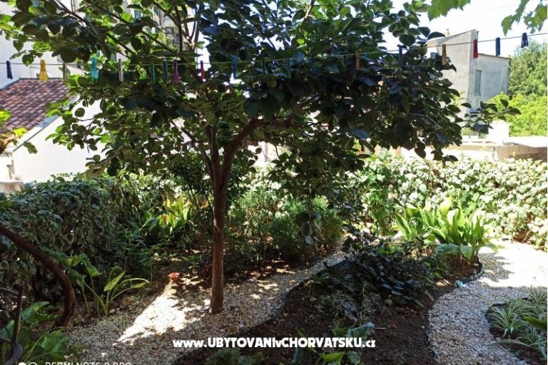 Apartamenty Flora – foto 2