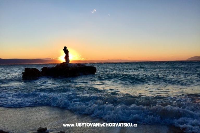 Apartamenty Fluctus TA – foto 7