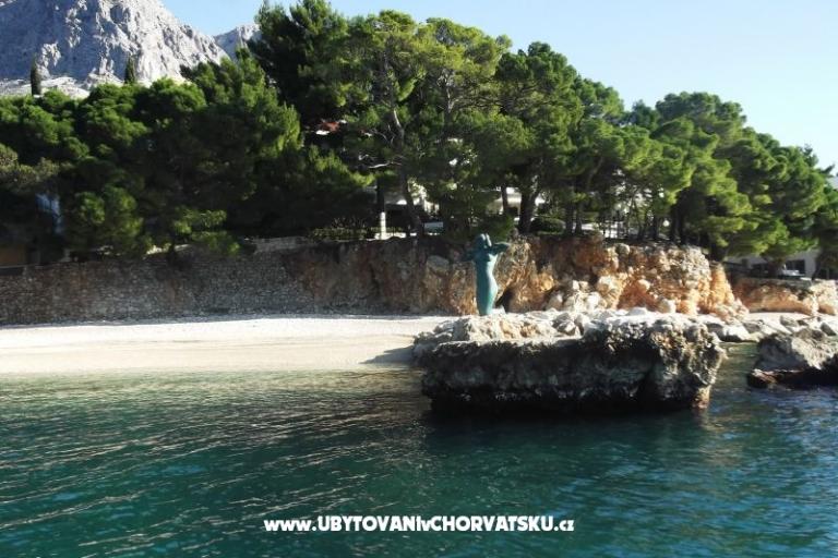 Apartamenty Zubac – foto 10