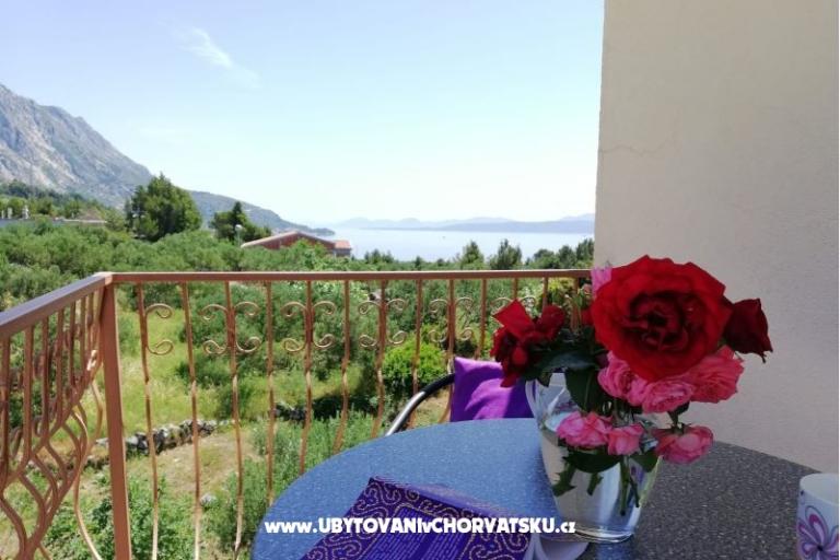 Apartamenty Zubac – foto 6