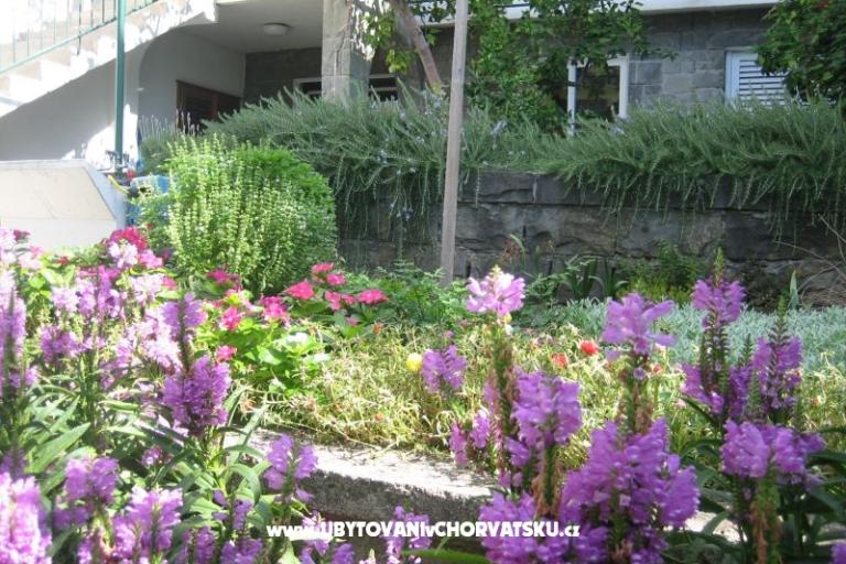 Apartamenty Draga – foto 3