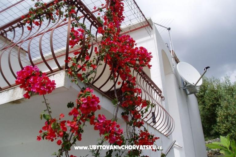 Apartament Vito – foto 2