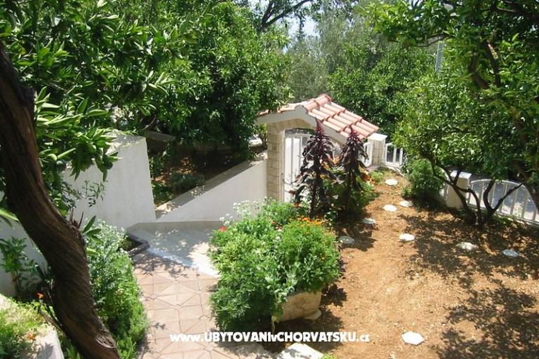 Apartamenty Marinovic – foto 7