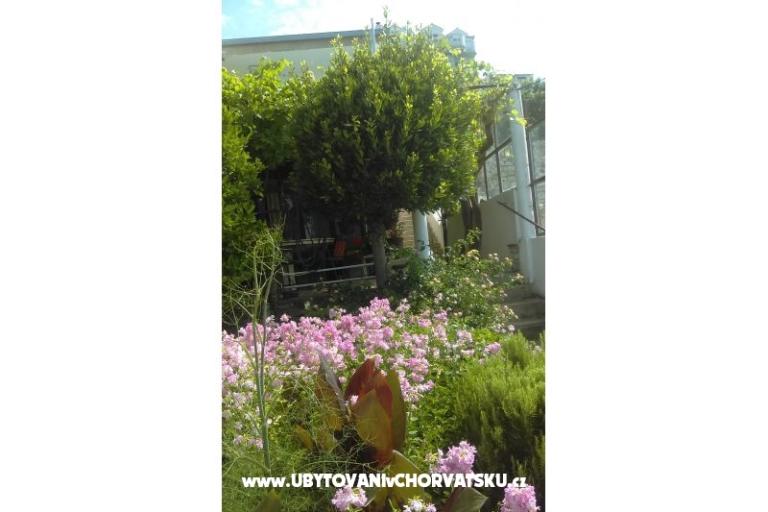 Apartament Adria – foto 10