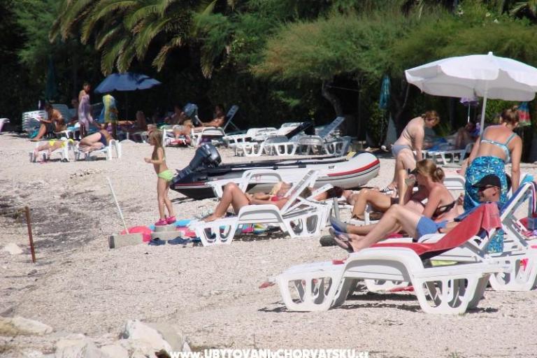Apartamenty Bašković – foto 10