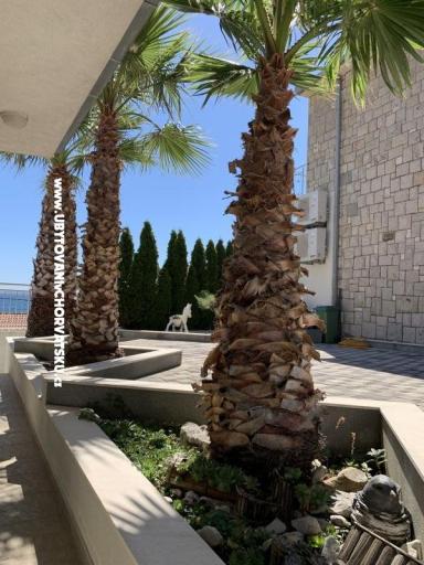 Apartamenty Botuš – foto 3