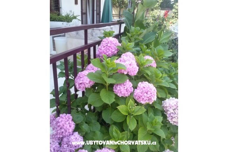 Apartamenty Dana – foto 11