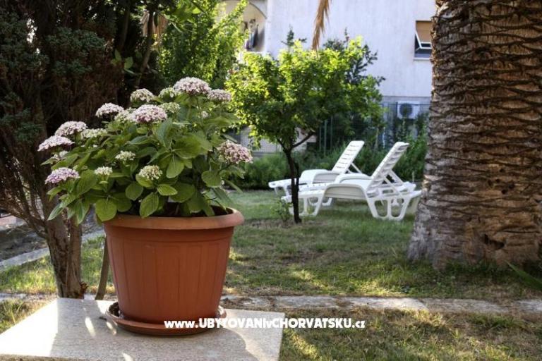 Apartamenty Domeniko – foto 7