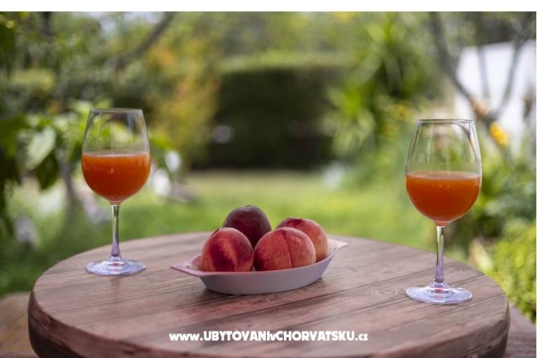 Apartamenty Jakovac – foto 7