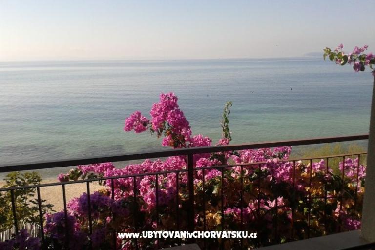 Apartamenty Jure – foto 13