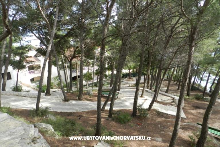 Apartamenty Lavica – foto 6