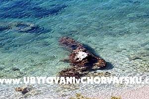 Apartamenty Marija – foto 8
